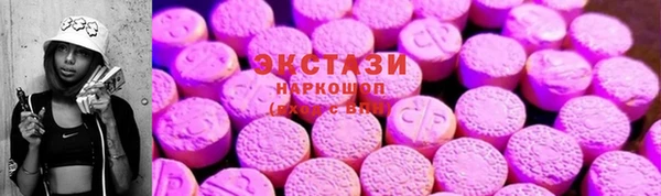 крисы Верхний Тагил