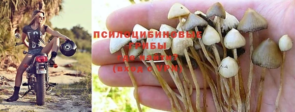 крисы Верхний Тагил
