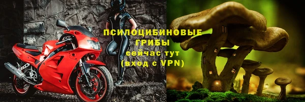 крисы Верхний Тагил